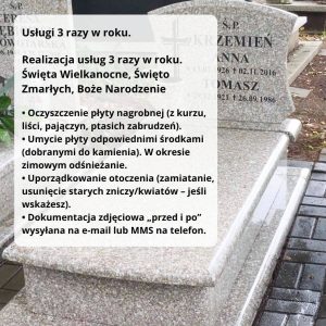 usługi 3 razy w roku długie (2)