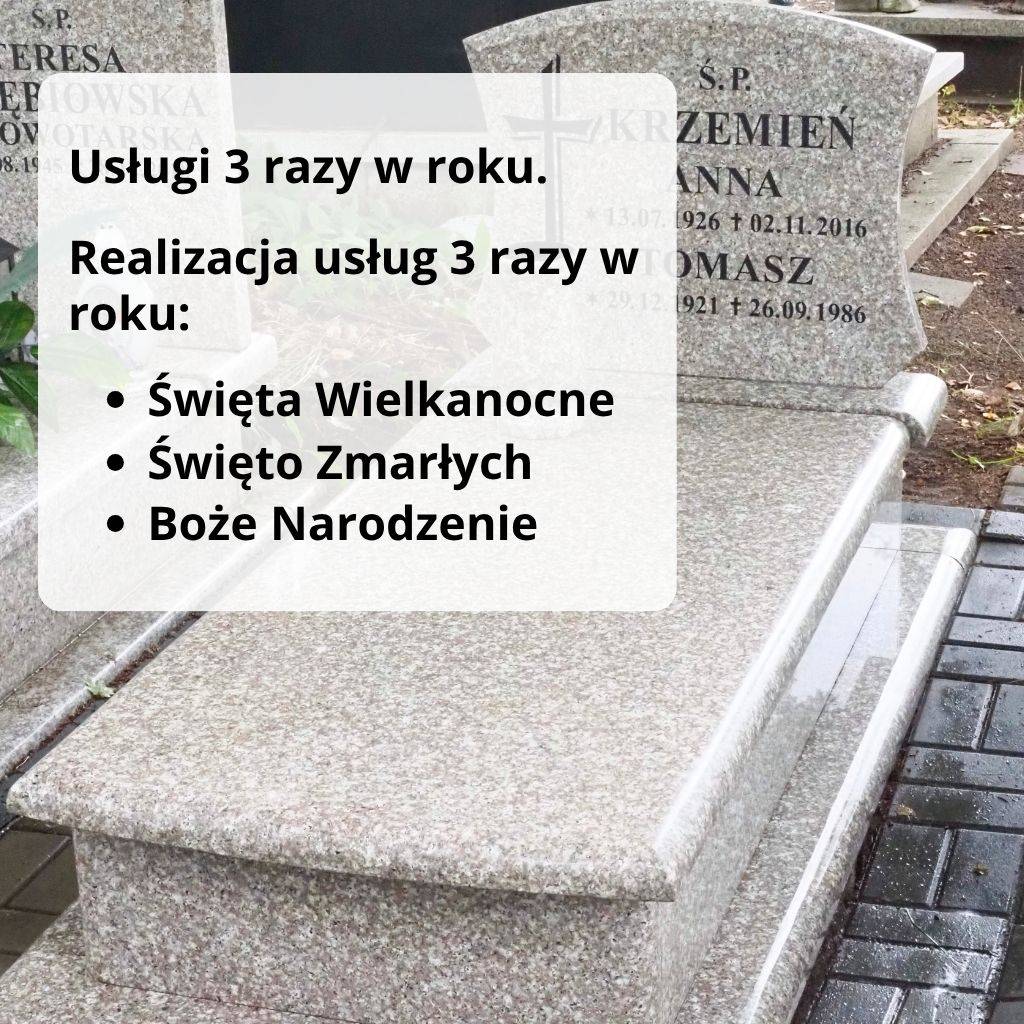 usługi 3 razy w roku. krotkie (1)