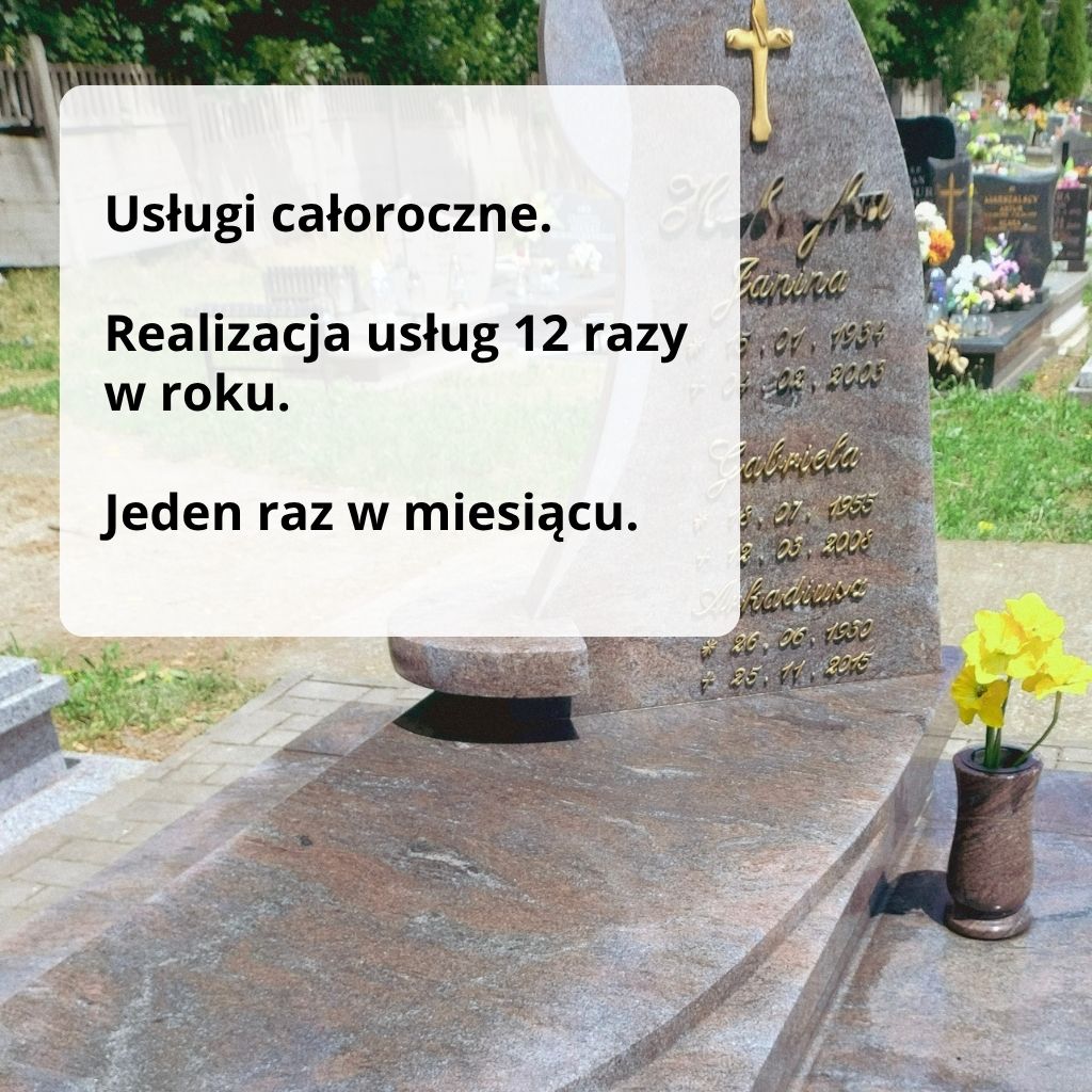 usługi całoroczne krótkie